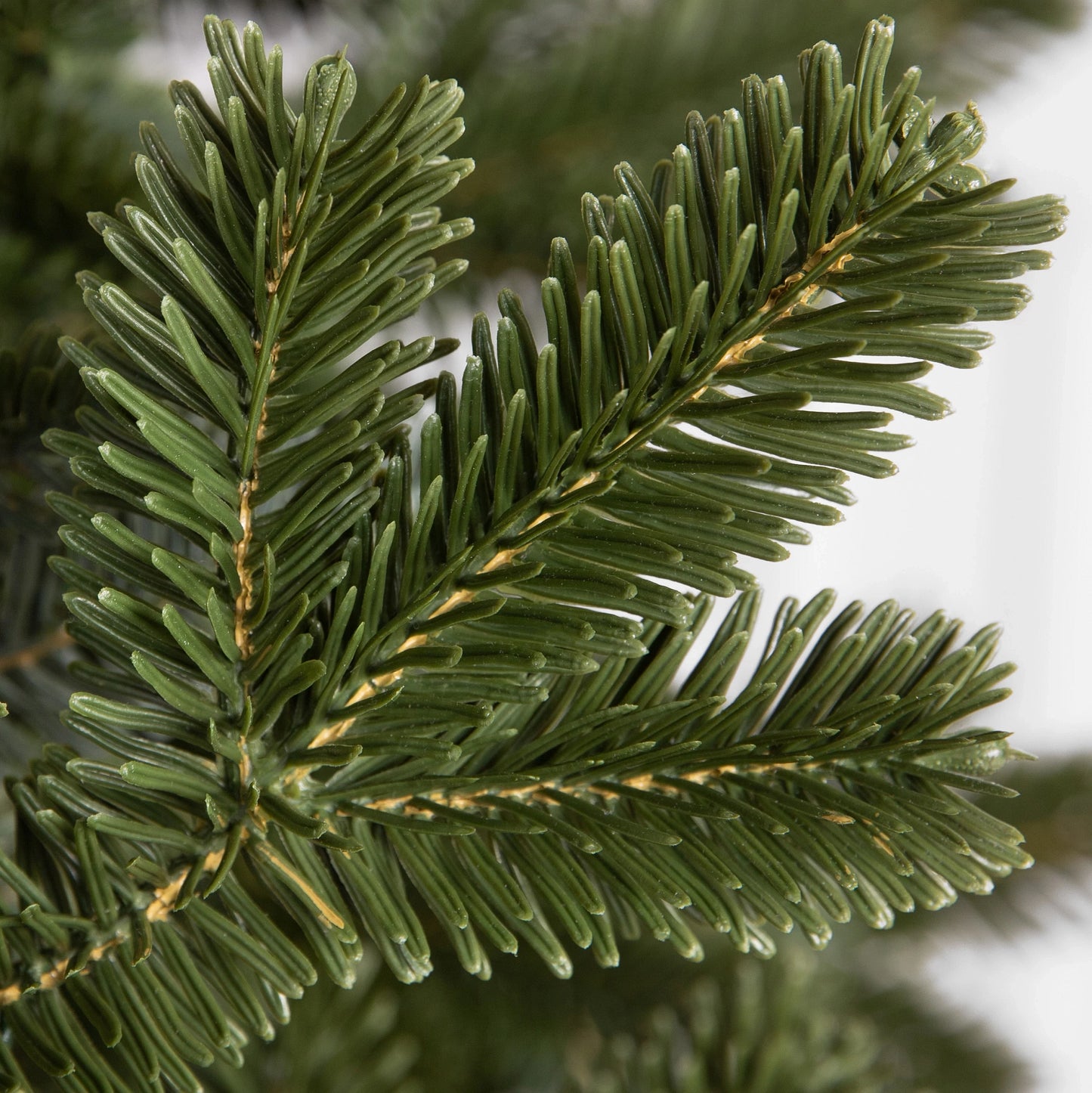 BL Balsam Light Tree